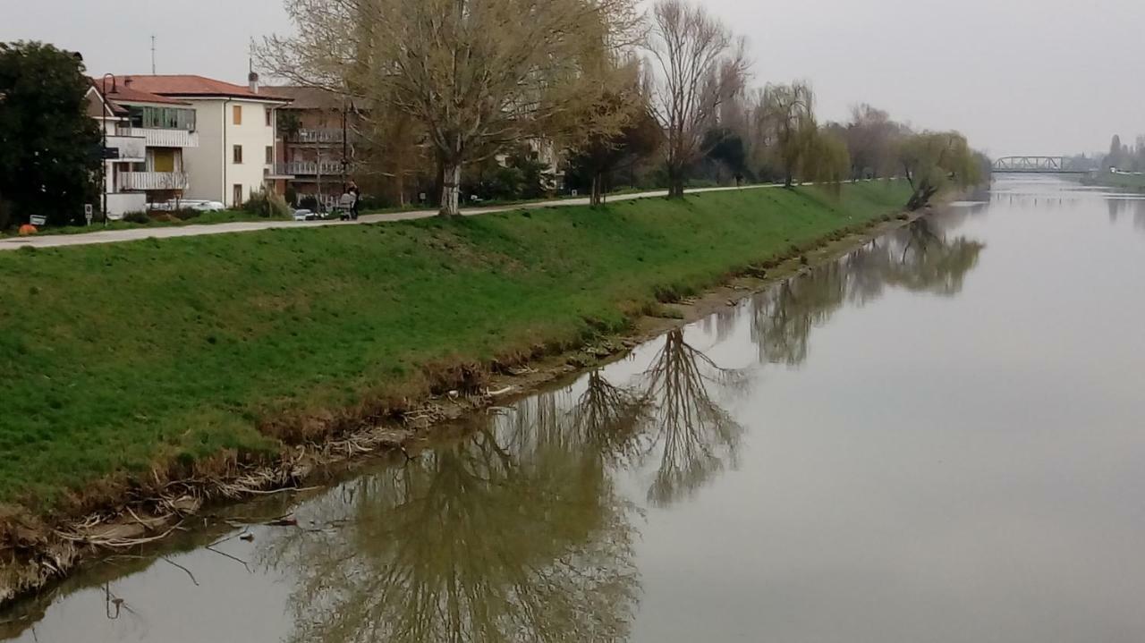 Vicino Al Prato Della Valle Intero Appartamento Parcheggio Facile Di Fronte 파도바 외부 사진